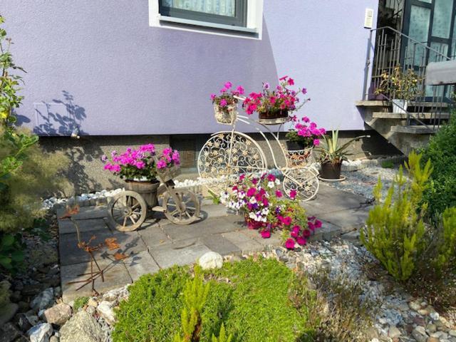 Haus Lila Welle Nordhalben Exterior foto